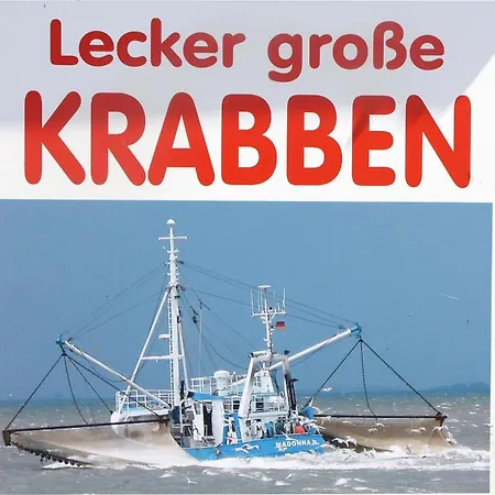 In Nahe Sylt Neukirchen (Nordfriesland)