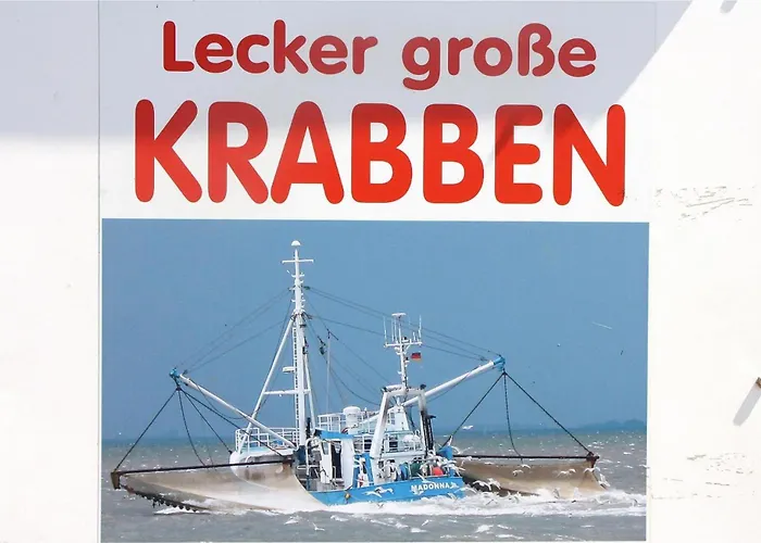 In Nahe Sylt Neukirchen (Nordfriesland)